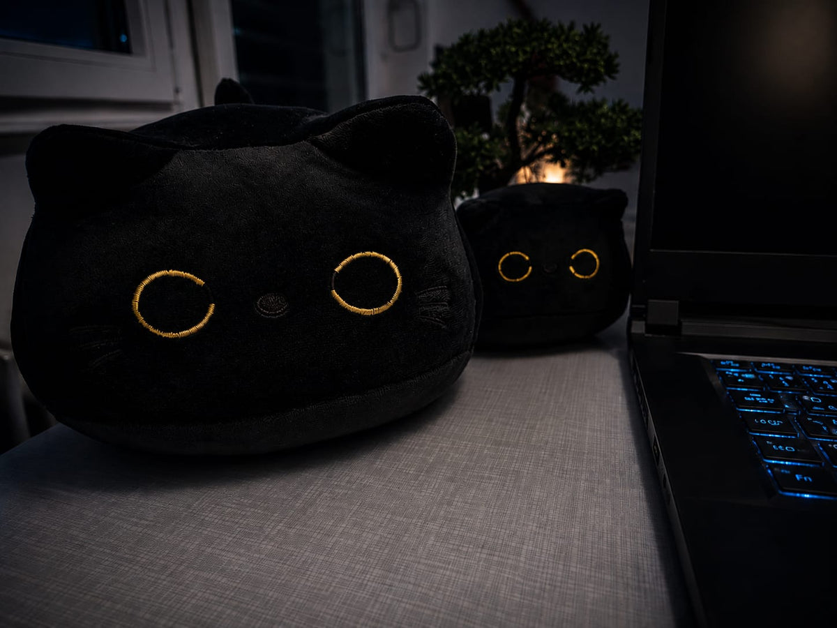 Nocty die Katze