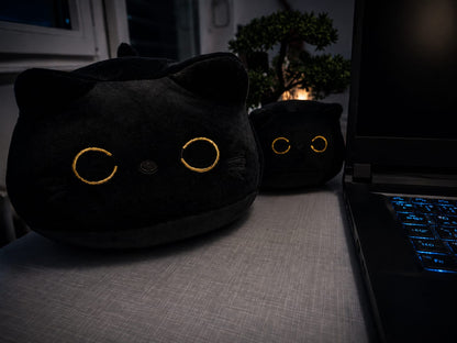 Nocty die Katze