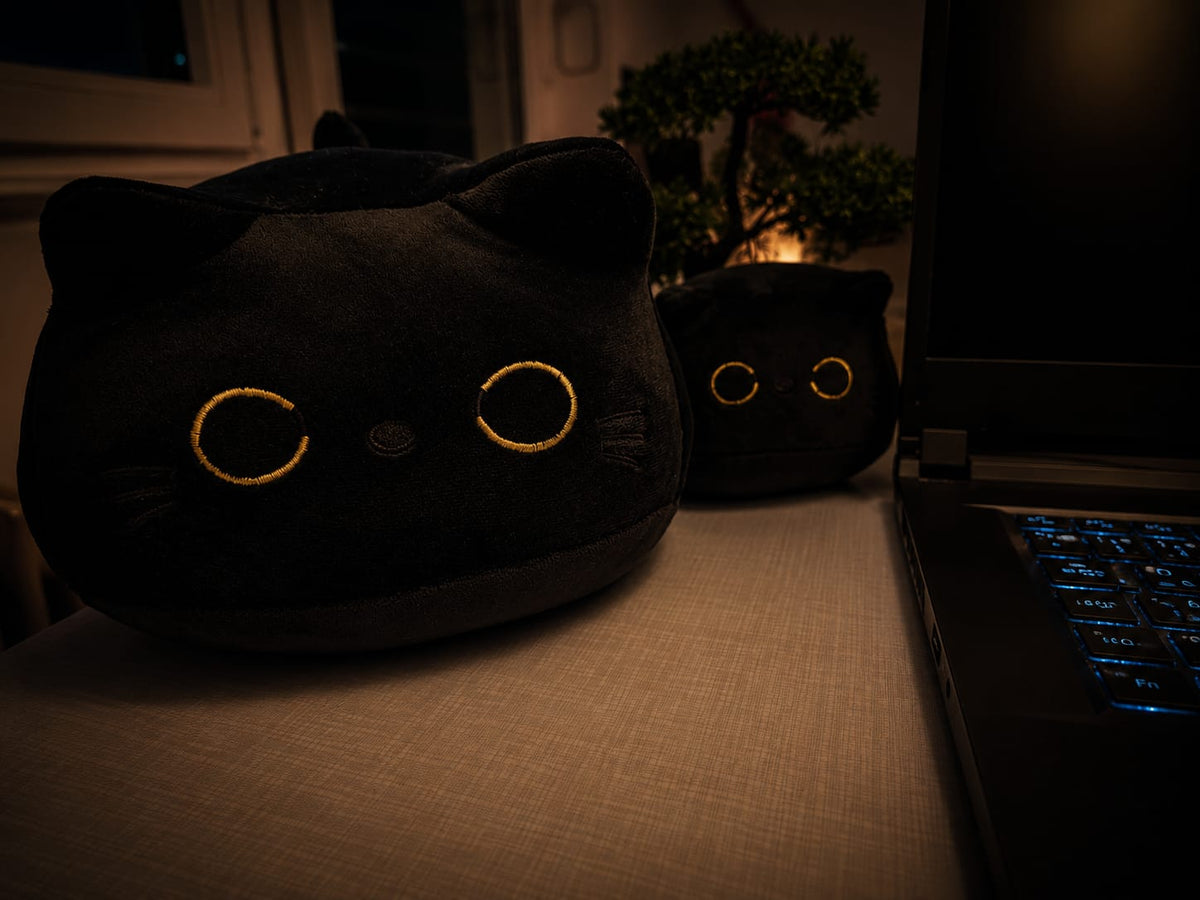 Nocty die Katze