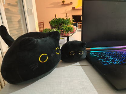 Nocty die Katze