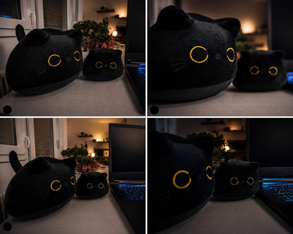 Nocty die Katze