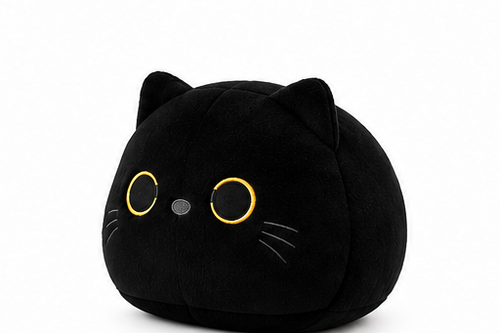 Nocty The Cat